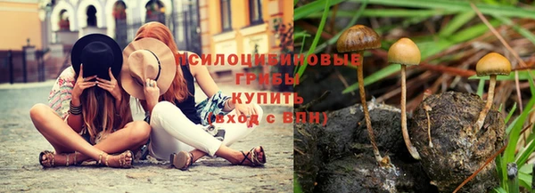 каннабис Алексин